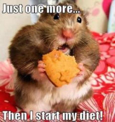 diet-hamster