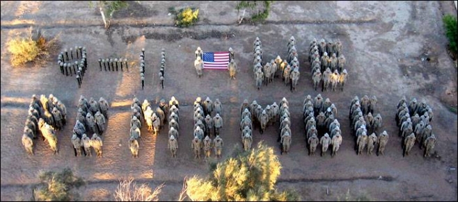 9-11_spelled_out_by_marines